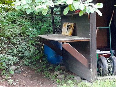 Umweltschutz & Insektenleben